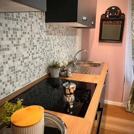 Elegant In The Historic Center Appartement
